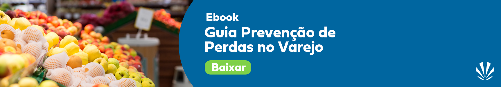 Guia Prevenção de Perdas no Varejo 2