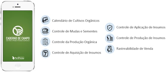 Caderno de campo
