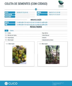 Coleta de sementes com códigos