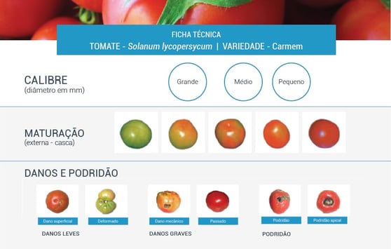 Ficha técnica tomate