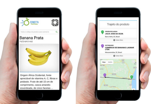 Ficha técnica banana prata