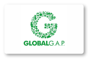 Logo GLOBAL G.A.P.