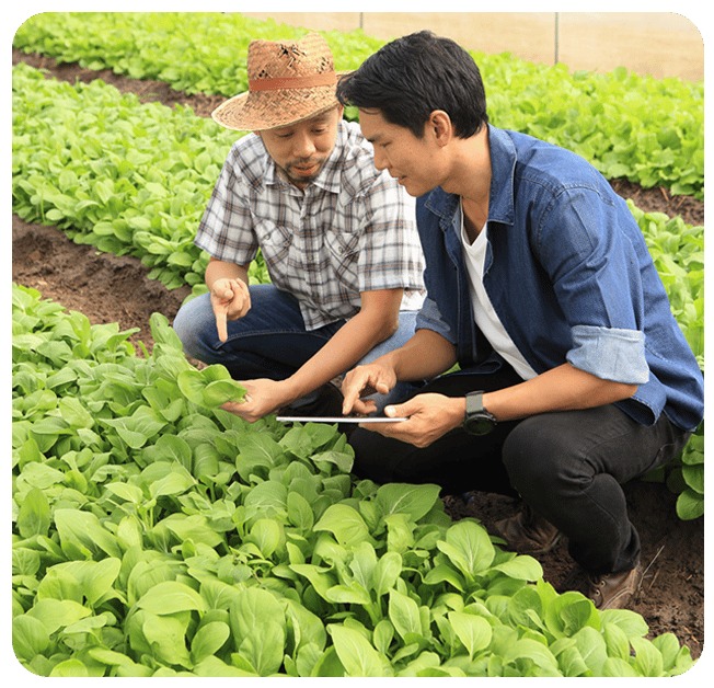 imagem-de-produtor-e-consultor-em-uma-plantação