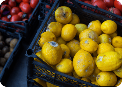 evite-perdas-hortifruti-PariPassu evite-perdas-hortifruti-PariPassu