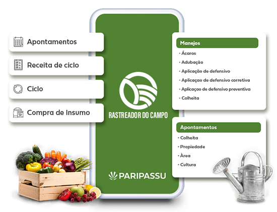 rastreador do campo PariPassu rastreador do campo PariPassu
