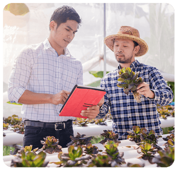 site copiar 2-1 site copiar 2-1