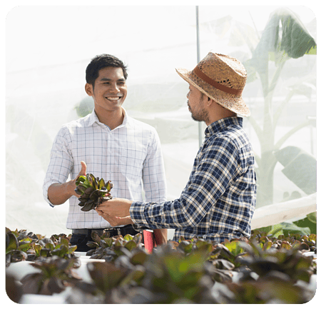 site copiar-1 site copiar-1