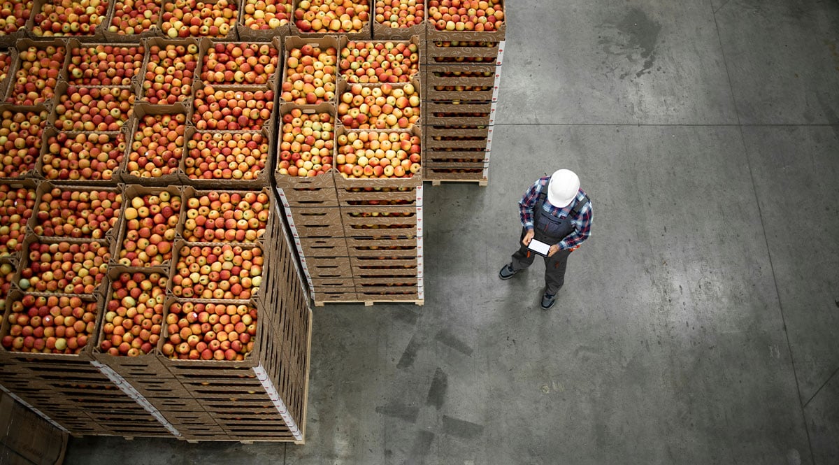 caixas de frutas