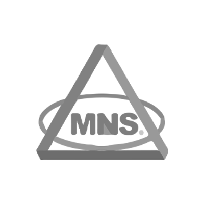 GRUPO MNS GRUPO MNS