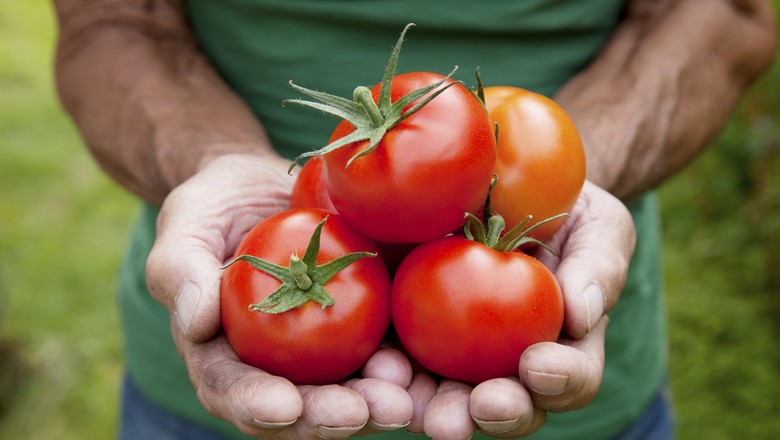 gestão agrícola