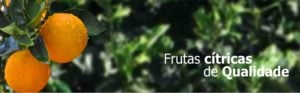 banner3